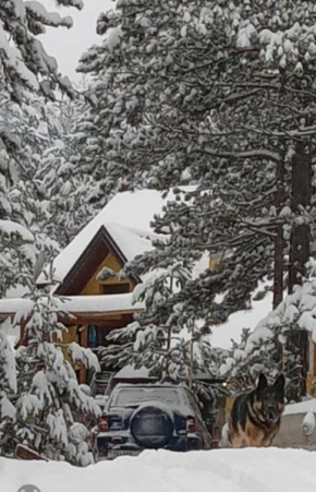 Planinska kuca Lunjo & Vuk Zlatibor